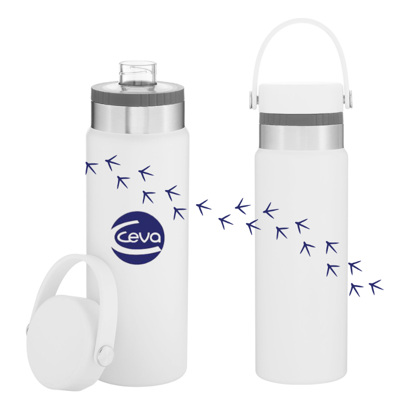 H2GO Realm Bottle